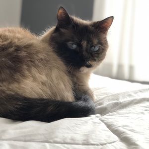 Meet your Posher, Anne